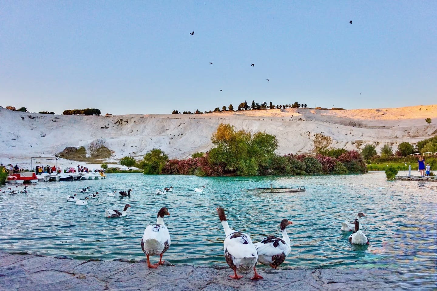 Turquoise pond and white Pamukkale cliffs at golden hour